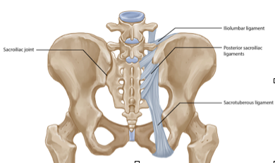 Below Your Low Back Pain 1 SIJ pic