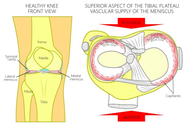 LET US DISCUSS, THE MEN-IS-CUS 1 Screen Shot 2019 07 30 at 3.03.00 pm copy