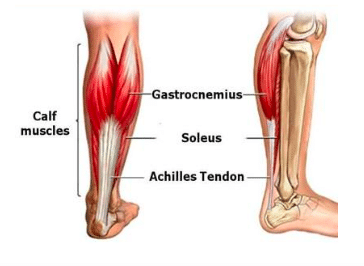 ACHILLES TENDINOPATHY 1 Screen Shot 2023 10 02 at 8.46.29 am