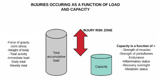 TORN YOUR CALF? HERE'S HOW TO REHAB IT... 2 Screen Shot 2023 10 02 at 8.50.39 am